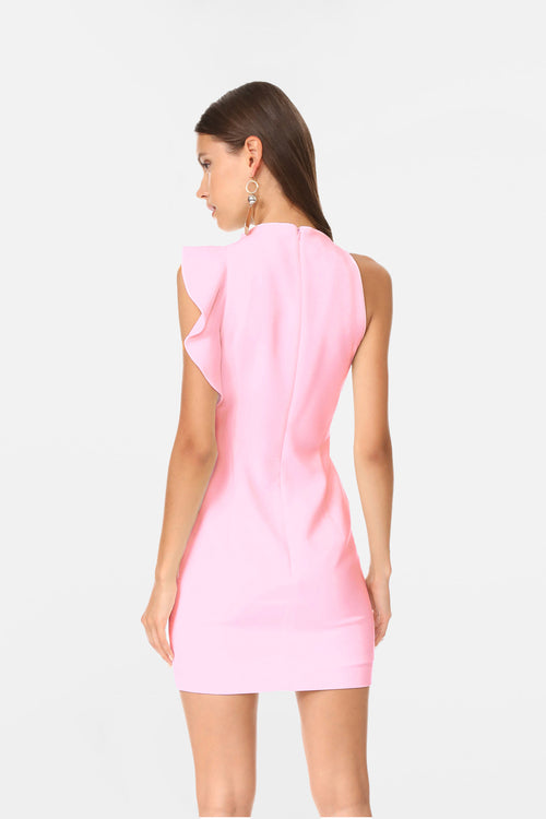 Blush Belle Dress