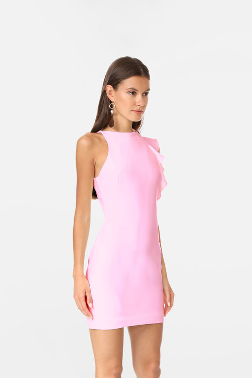 Blush Belle Dress