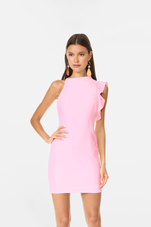 Blush Belle Dress